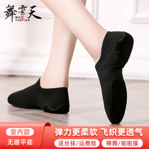 Zen dance dance shoes female soft bottom teacher professional ballet National belly Classical Dance Dance Dance shoes adult practice shoes