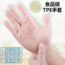 TPE Disposable Gloves Thickened Catering Peeled Shrimp Anti-Oil Kitchen Baking Durable Carrying Stretch Small Lobster Gloves