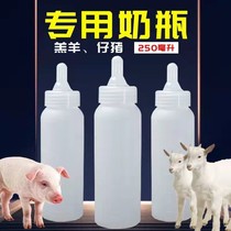 Food grade beast with plastic 250m milk bottle silicone nipple small pig feeding bottle sheep with milk bottle beast used to feed the milk