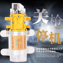 New electric sprayer water pump motor 12v Volt agricultural diaphragm high pressure self-priming car wash pressure intelligent pump