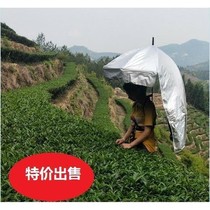 Umbrella picking tea umbrella can be backed back type sunshade umbrella super light head umbrella outdoor sunscreen double layer creative umbrella