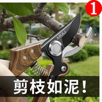 Japan imported sk5 branch grafting flower Stainless steel special green pruning garden art scissors household