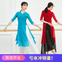 Long Chinese style classical dance net gauze coat female adult elegant gauze clothing body rhyme performance dancing clothing costume