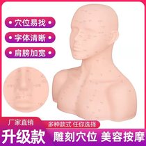 Head model with shoulder skin management head model beauty salon practice facial acupoint massage technique font acupoint model