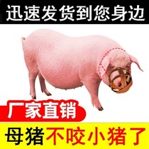 Sow mouth cover anti-bite piglet old sow anti-biting pig set cow cage head cover mouth device horse cattle sheep anti-eating