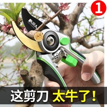 Special scissors for prickly ash trees scissors labor-saving high branches imported saws Fruit Gardening Garden gardener flower arrangement