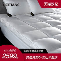 North Swan five-star hotel negative ion 95 white goose down bed cotton padded soft cushion down mattress winter