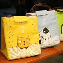 Breast pump storage bag ladies large padded multifunctional cartoon out newborn portable storage bag artifact