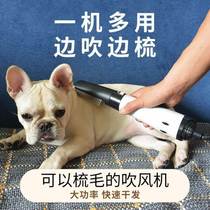 Hair Dryer Quick Dry Bath Cat Pooch Electric Comb Mullater Wool God Instrumental Integrated Small Dog Drying High Power Mute
