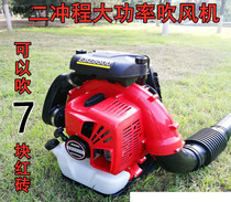 Portable two-stroke gasoline engine hair dryer blower greenhouse snow blower road dust blower sweeping leaves