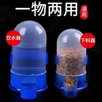 Pigeon drinker automatic water feeding kettle pigeon supplies parrot feeder bird food box trough pigeons
