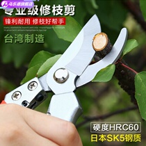 Imported SK5 steel pedicle garden shears to pick fruit flower arrangement fruit branch scissors branch home horticultural scissors pruning shears