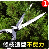 Flower tree pruning scissors scissors Holly repair Greening flower scissors fruit shears floral utensils high altitude gardening flower scissors