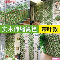 Outdoor bamboo pole courtyard decoration garden partition bamboo fence fence fence indoor dry bamboo moso bamboo pubescens