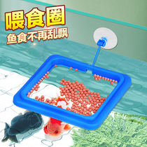 Feeder feeding ring anti-floating tropical guppy fish feeding ring aquarium fish food feeding tube feeding tube