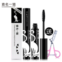 Check the name of a cat spin three-dimensional mascara waterproof slender curl long non-dizziness eyelash growth liquid cream