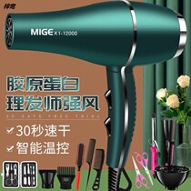 Hairdryer Hairdryer Hair Hair Hair Hair Hair Hair Hair Hard Hair Hard Hard Gallery Special High Power 35000W Wind Drive 8000W