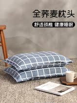 Summer pillow neck pillow full buckwheat leather Home Students Dormitory Dorm Room for men and women Summer cool pillows with pillowcase single