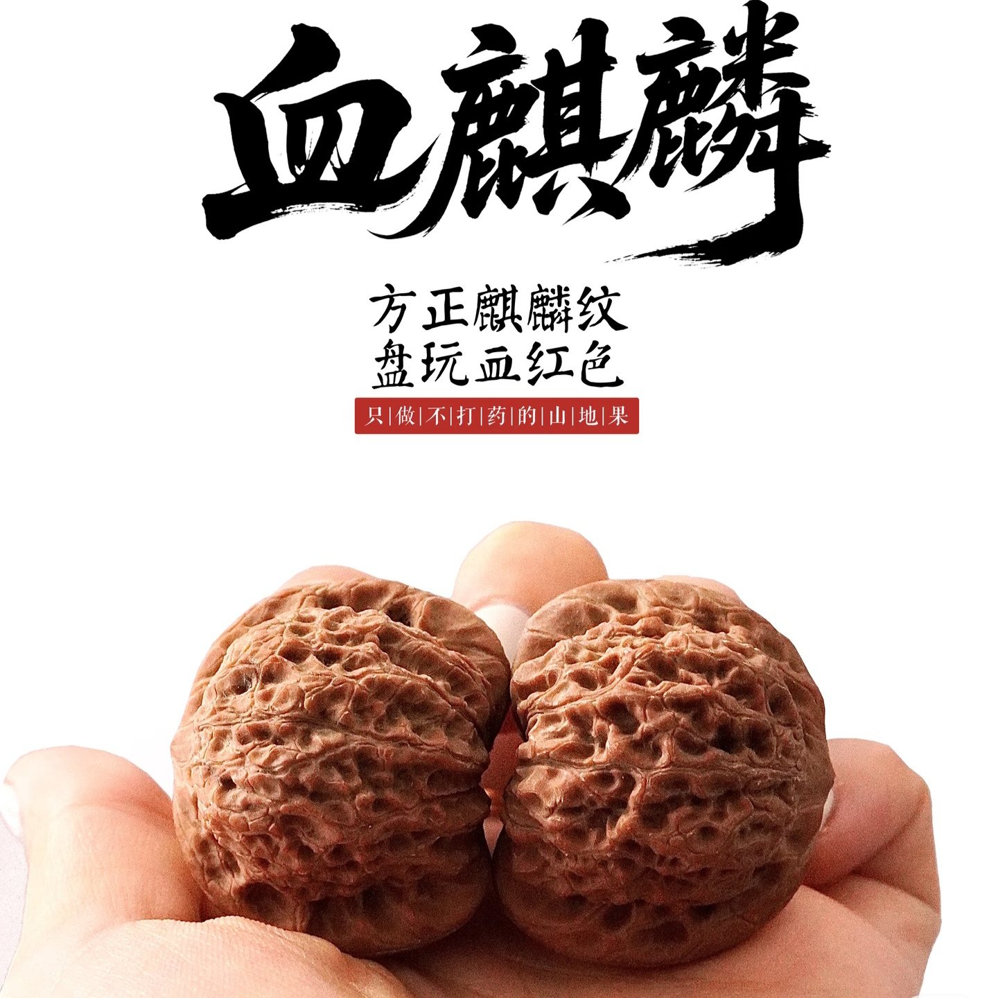 血麒麟核桃-血麒麟核桃促销价格、血麒麟核桃品牌- 淘宝
