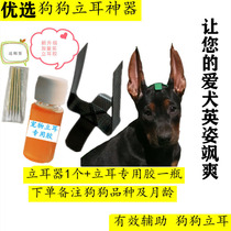 Stand ear instrumental puppies Depasture Dogs Dogs God Instrumental Dupin Dog Ears Dog Kirky Puppy Stand Ear Deity