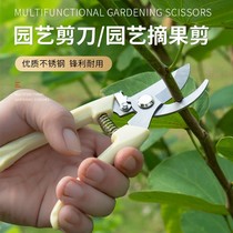 Cut twigs special scissors flower wood pruner special lengthened picking fruit and green garden art Labor-saving tool Home
