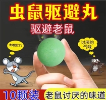 The rat god drug smells like a dead special effects murine home kitchen hurrying rat-rat indoor and rat-inside the end of the pot.