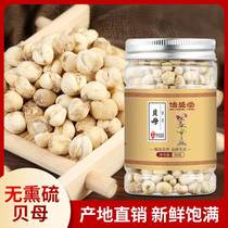 Selected fritillary fritillary powder non-premium wild Sichuan Chinese herbal medicine Songbei 50g non-500g
