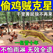 Chicken coop household anti-weasel special medicine package farm chicken and duck circle indoor and outdoor strong repelling weasel artifact