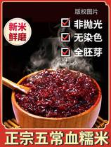 Wuchang blood glutinous rice purple rice black rice new rice 5 catties brown rice coarse grain wine brewed whole germ rice black glutinous rice whole grains
