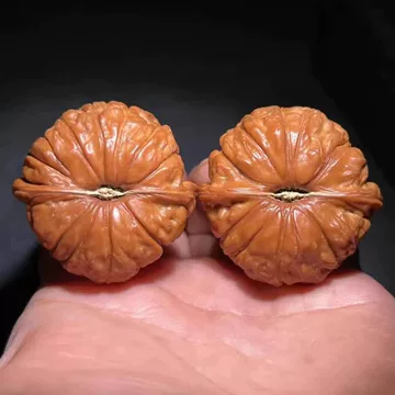 文玩堂：南瓜墩（雷蒙锤） 文玩堂：南瓜墩（雷蒙锤） 文玩核桃南瓜墩-文玩核桃