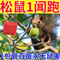Squirrel repellent artifact solar sound wave squirrel repellent mouse repellent scare rat nemesis anti-squirrel mouse stealing special