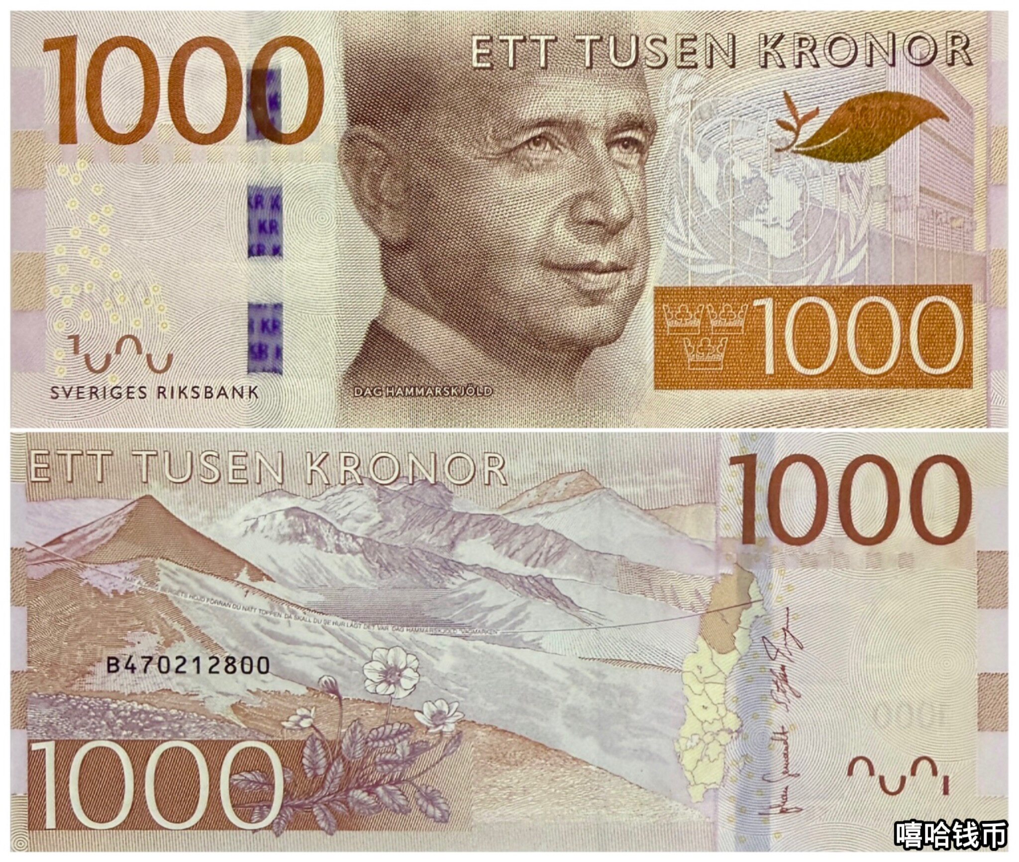 瑞典纸币100-瑞典纸币100促销价格、瑞典纸币100品牌- 淘宝