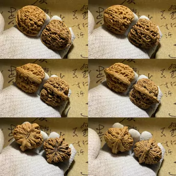 赵喜满南疆石核桃-赵喜满南疆石核桃促销价格、赵喜满南疆石核桃品牌- 淘宝
