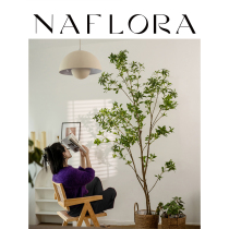 NA house flower house horse drunk wood simulation green plant womens clothing store large floor-to-ceiling plant living room home decoration hanging clock fake tree