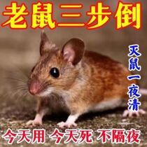 Anti-mouse home medicine super powerful and efficient magic medicine will kill you once you smell it