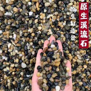 寄居蟹石头-寄居蟹石头促销价格、寄居蟹石头品牌- 淘宝