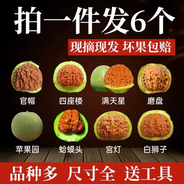 元宝文玩核桃-元宝文玩核桃促销价格、元宝文玩核桃品牌- 淘宝