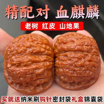 血麒麟核桃-血麒麟核桃促销价格、血麒麟核桃品牌- 淘宝 血麒麟核桃-血麒麟核桃促销价格、血麒麟核桃品牌- 淘宝