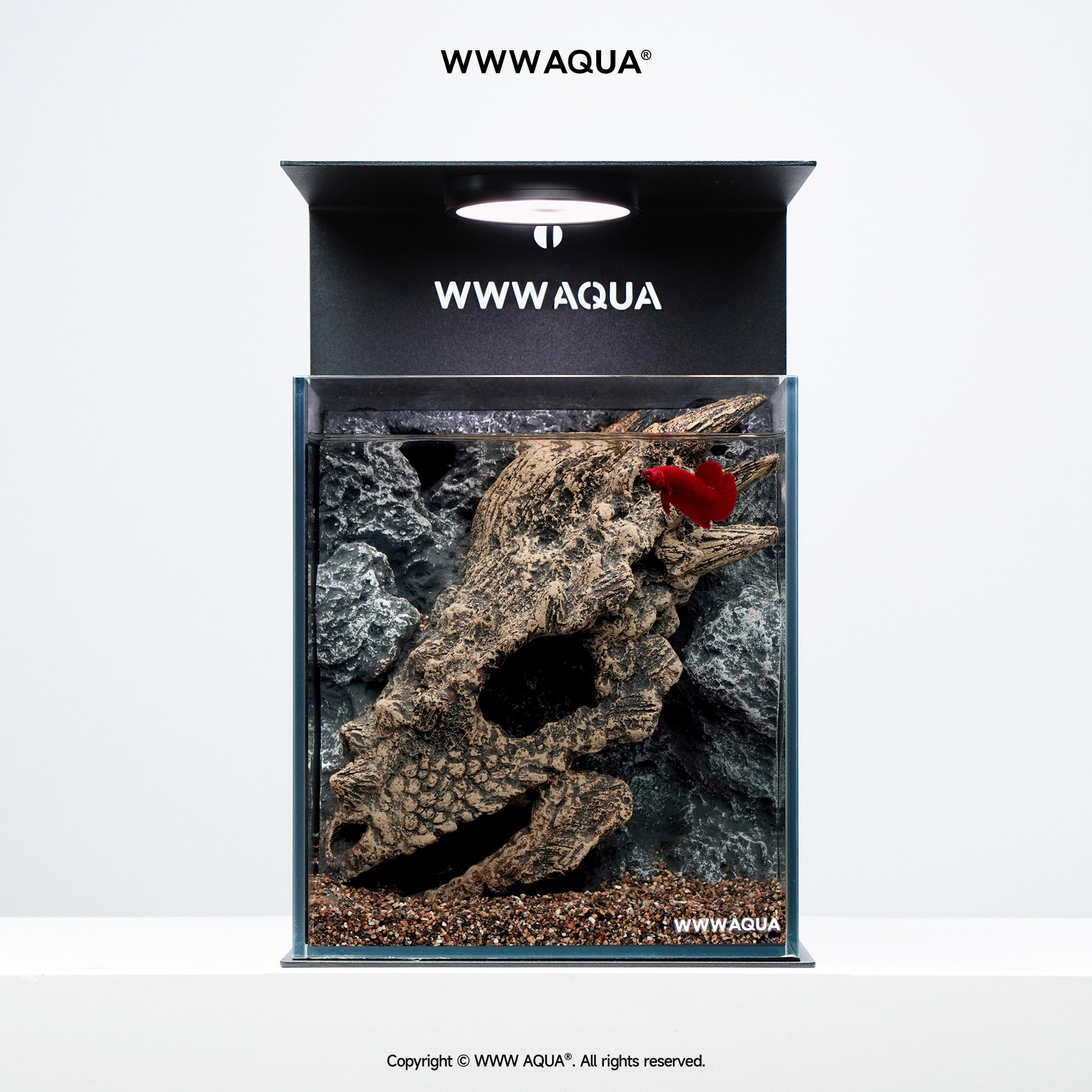 WWWAQUA古化石系列新款肿头龙鱼缸造景超白玻璃斗鱼桌面景观鱼缸，这玩意儿真香！_游戏平台_淘宝游戏网