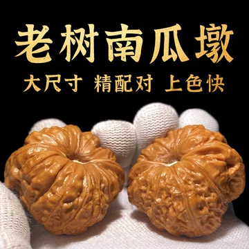 文玩堂：南瓜墩（雷蒙锤） 文玩核桃39种图解大全- 抖