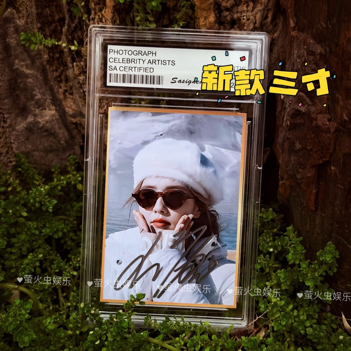 白鹿 直筆サイン入りフォト 3枚セット 白鹿3寸签名照-白鹿3寸签名照