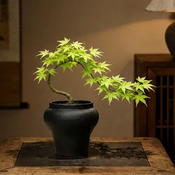 禅意入户水钵-禅意入户水钵促销价格、禅意入户水钵品牌- 淘宝
