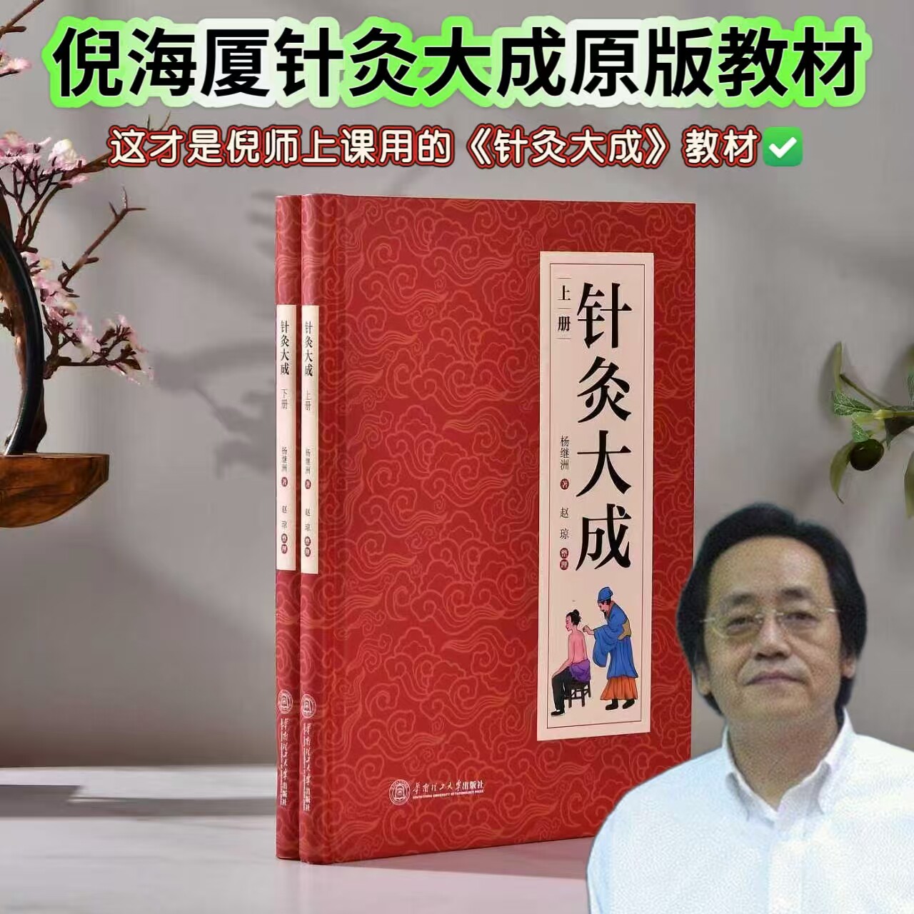 针灸大成-针灸大成促销价格、针灸大成品牌- 淘宝
