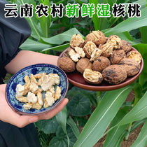 Spot 2021 Yunnan fresh thin-skinned walnuts wet walnuts to green skin sweet crispy new tender spades