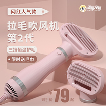 Pet hair dryer Pull hair one-piece Teddy dog hair blowing artifact Bath drying small dog cat hair comb special