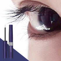Cavilla eyelash essence official website eyebrows thick long eyebrows cream natural nutrition