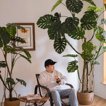 Shuhan simulation green plant monstera living room office bionic indoor plant potted decoration floor decoration fake tree