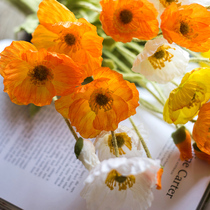 Culvert Icelands Yu Beauty Emulation Flowers Small Poppy Spring Color Fresh Floral Suit Decoration Pendulum Art