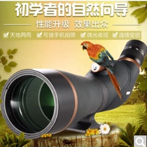 Boguan Golden Tiger 2th generation telescope high-definition non-Night Vision non-perspective dual-use 60-fold low-light bird viewing mirror