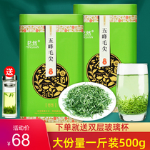 Mingran 2021 new tea Wufeng tea Maojian green tea bulk spring tea strong flavor fried green cloud fog Tea 500g canned